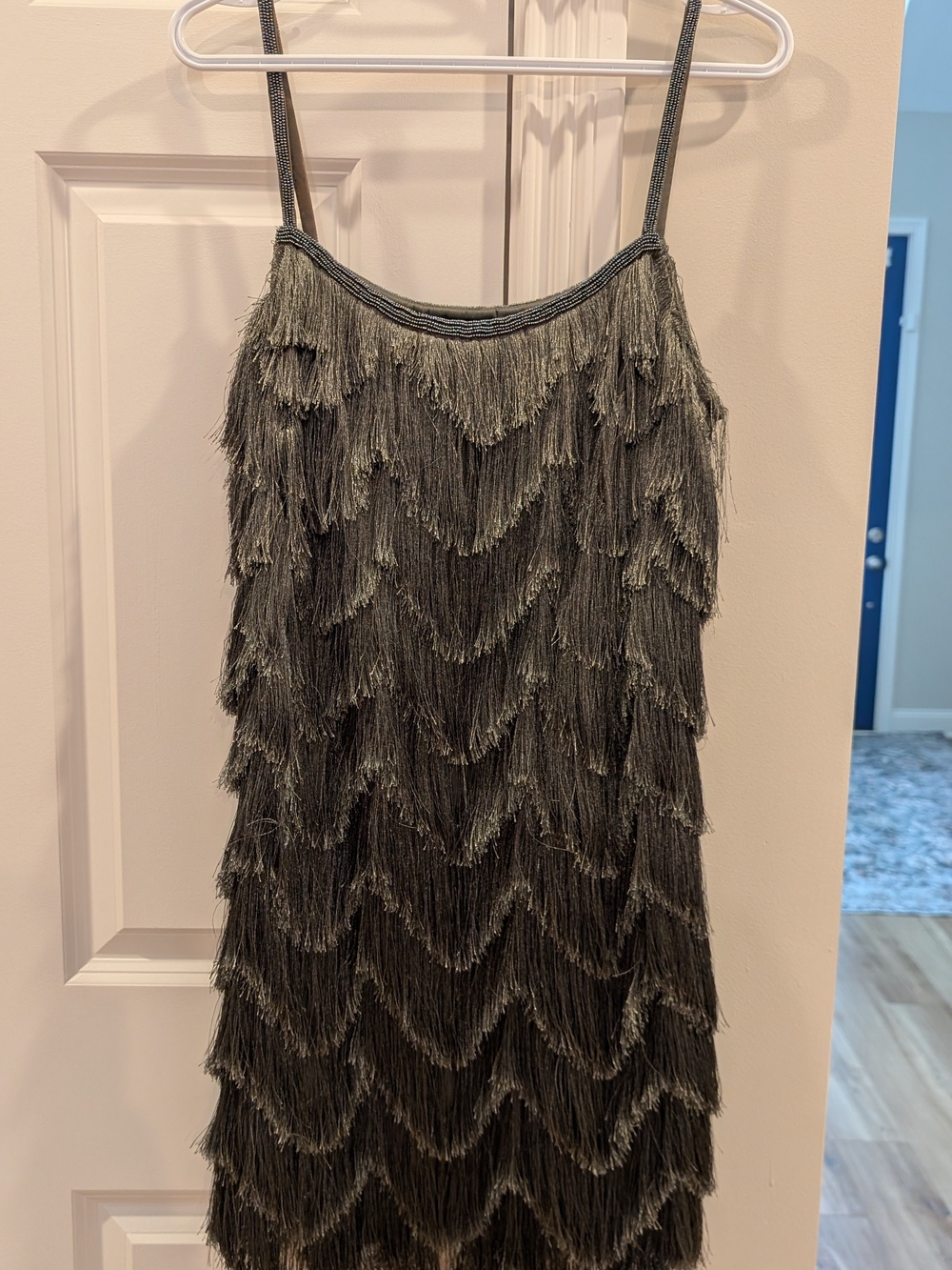 Anthropologie x Pankaj & Nidhi Fringed Mini Dress

 Metallic Charcoal